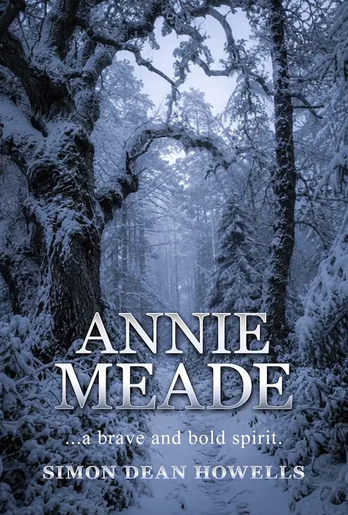 Annie Meade — book cover